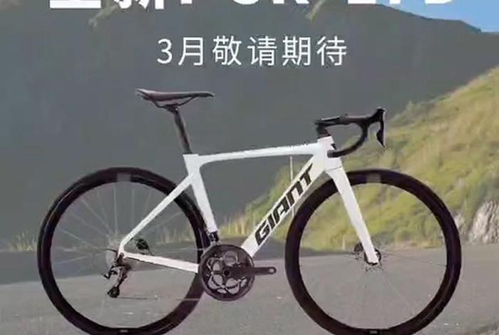 seo2捷安特 - expressway 捷安特