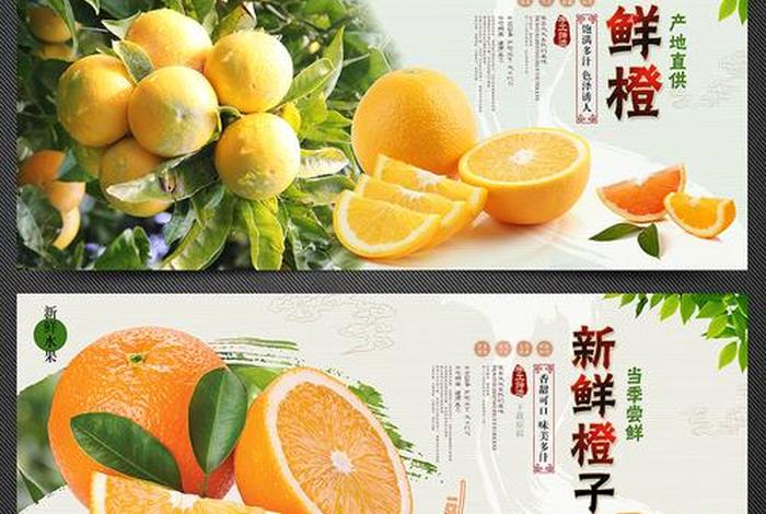 橙子建站广告，橙子建站广告价格