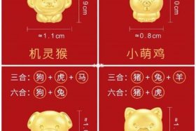 1999年属什么生肖，99年兔今年多大