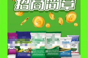 h5制作报价 h5设计制作是什么意思