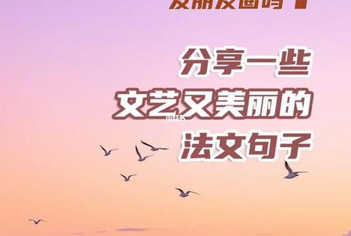 法语公司介绍；法语公司介绍文案