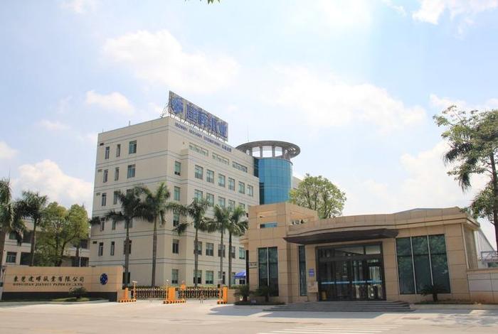 东莞网站建设服务有限公司、东莞网站建设服务有限公司怎么样