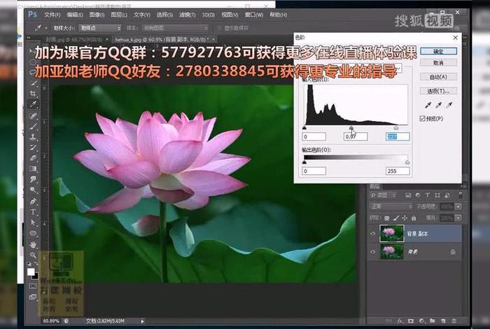 ps教程免费视频，ps教程全套视频有多少节