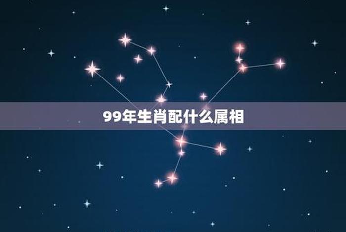 1999年属什么生肖，99年兔今年多大