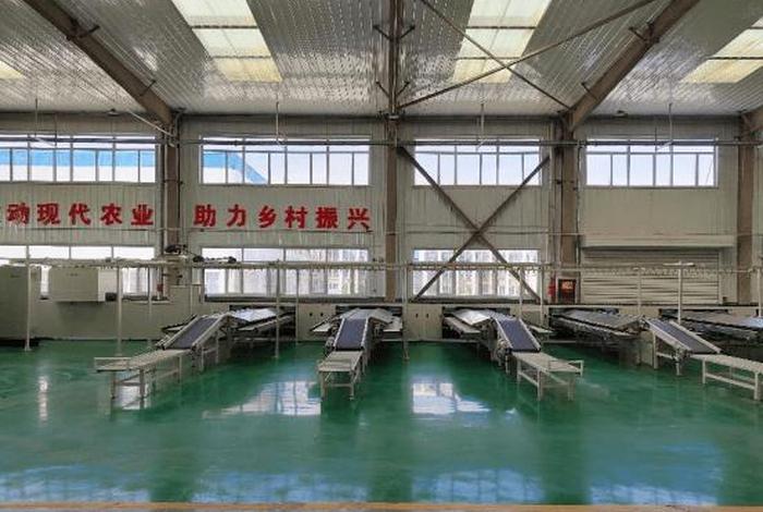 朝阳专业建站 朝阳建工