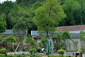 100元泡温泉带自助餐，50元一天三餐民宿