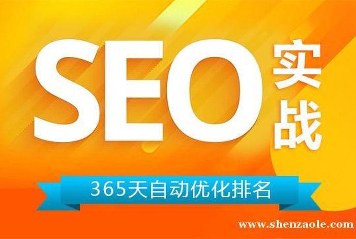 seo公司 上海 上海最专业的seo公司