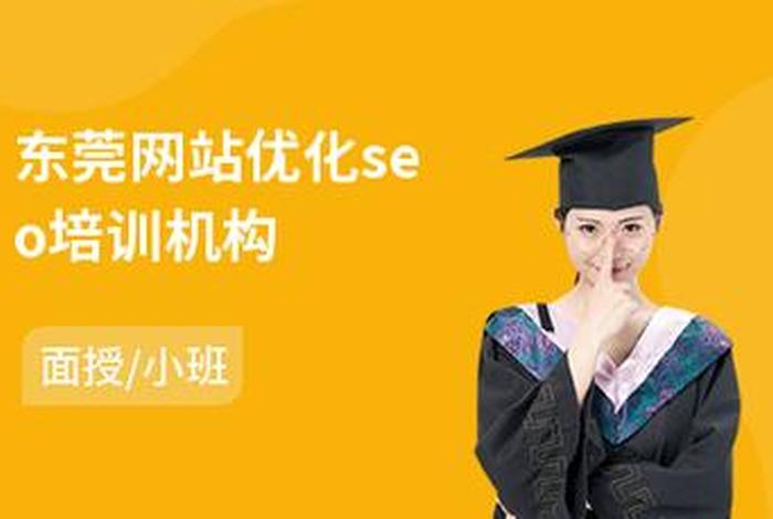 seo高端培训（seo企业培训班）