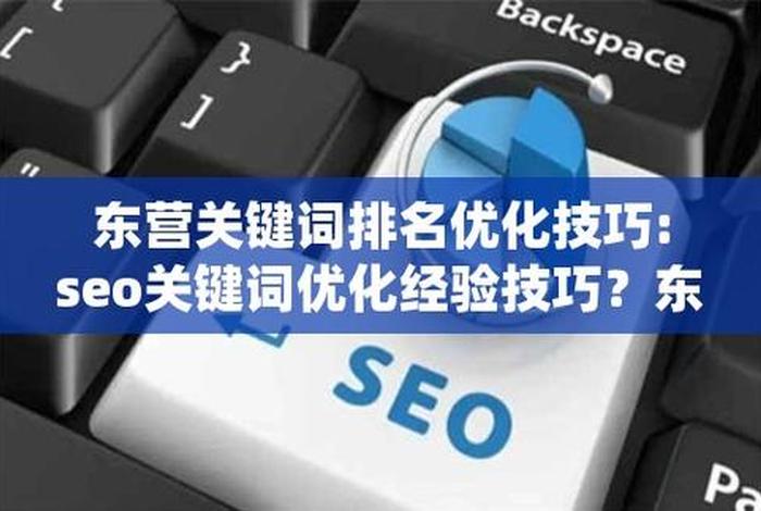 seo关键词技巧（什么叫seo关键词）