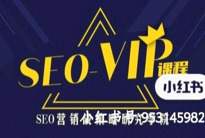 seo高端培训（seo企业培训班）