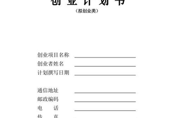 独立站创业 独立站创业计划书