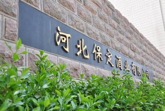 保定建设集团有限公司 保定建设集团是国企吗