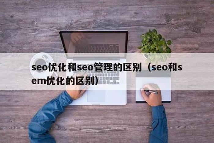 seo顾问和seo专员，seo、sem专员