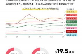 2024网站下载、免费下载2024最新版