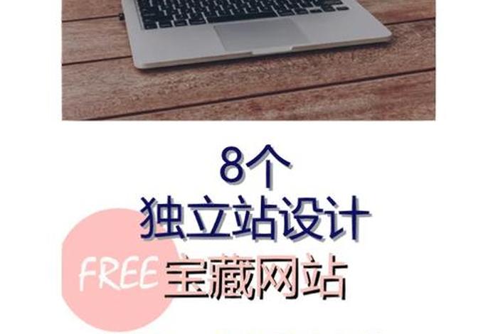 独立站公司的利弊、独立站做什么产品
