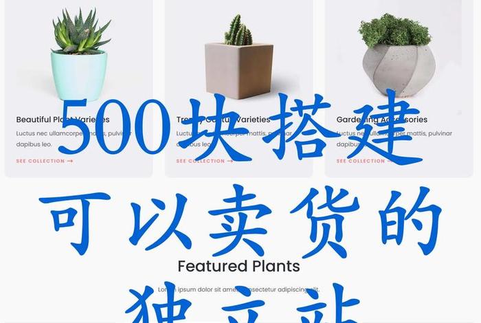 独立站挣钱吗、独立站有什么平台