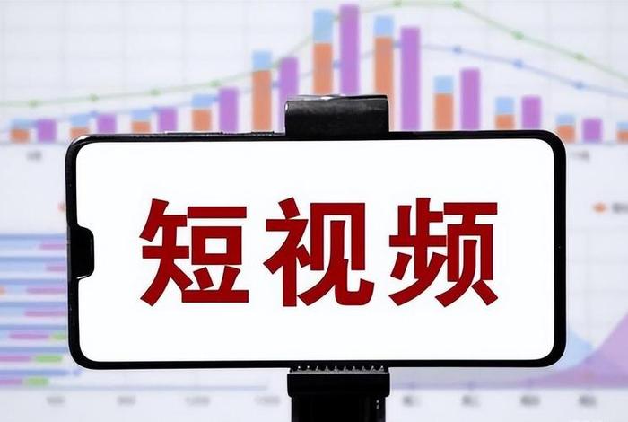 seo零基础入门到精通200讲 seo短视频网页入口引流