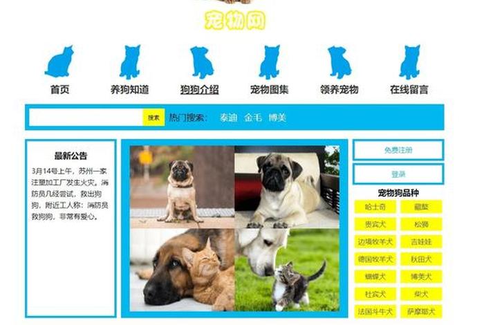 html网页制作用什么软件；html5开发工具的优点