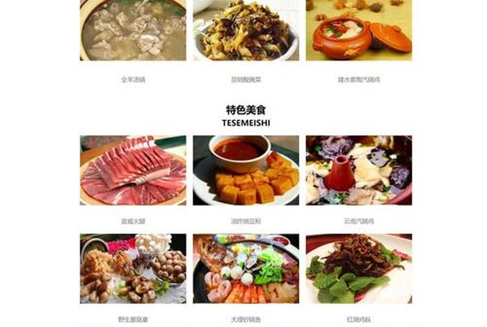 html 网址跳转代码 - 网页设计代码大全