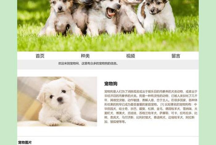 html制作一个简单的网页，HTML网页制作的错误示例