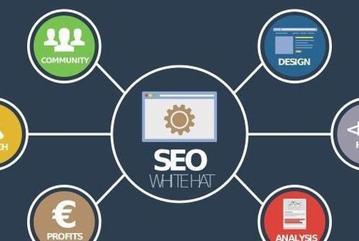 seo1在哪里可以免费看，seo免费视频教程