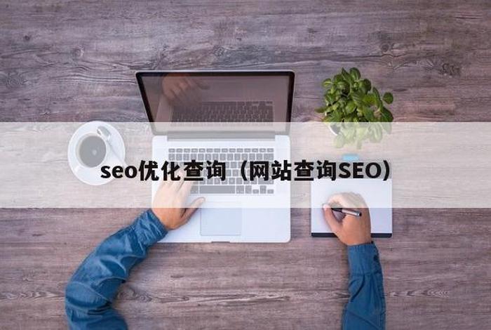 seo查询怎么查（最准的seo查询工具）