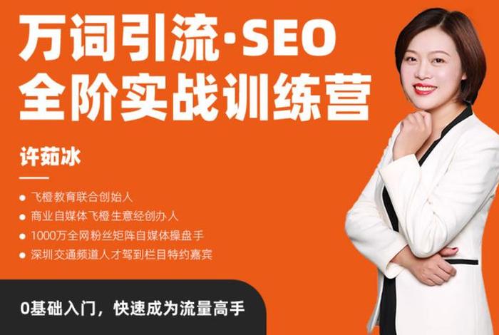seo顾问服务公司引流推广、seo公司怎么操作引流