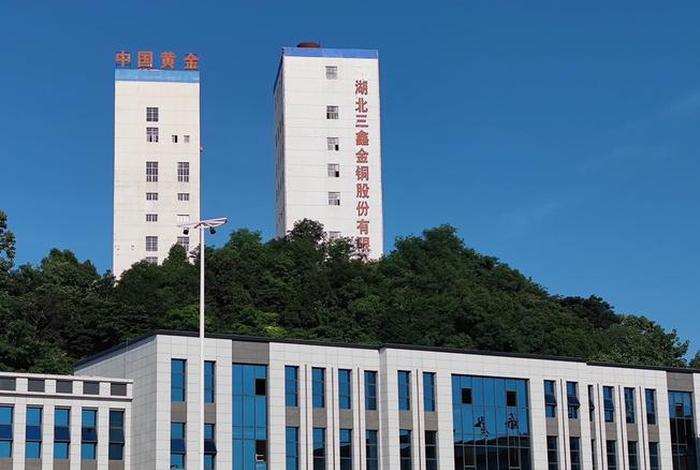 大冶建工集团承建过哪些项目，大冶建工集团承建过哪些项目呢
