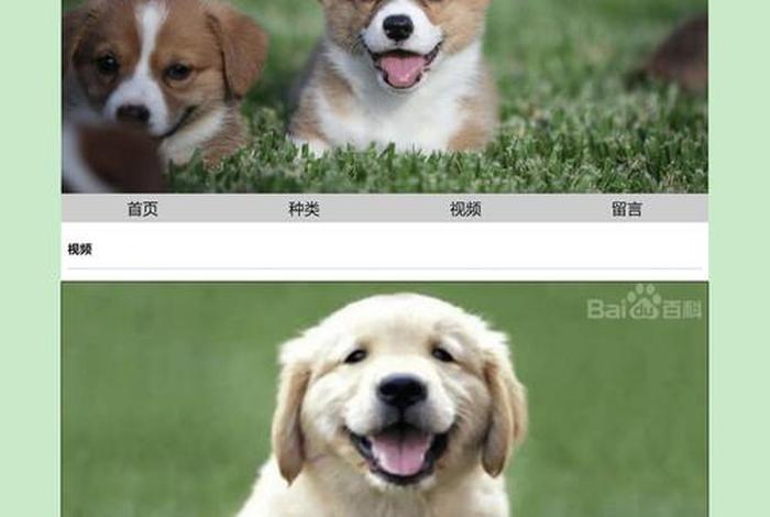 html静态网页制作成品、网页设计制作网站模板图片