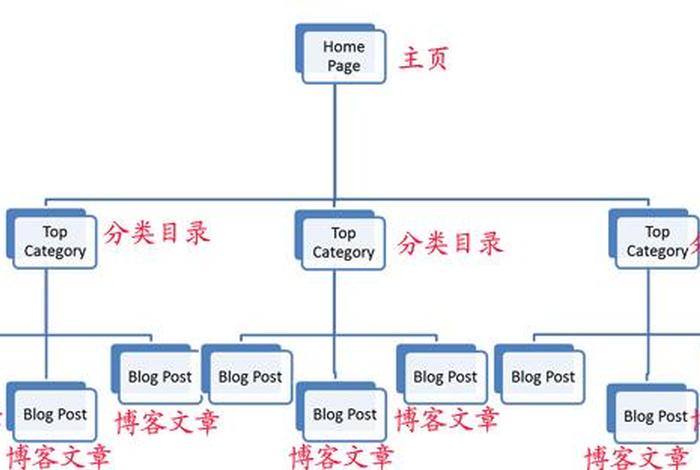 seo2的空间结构、seo可分为哪两种
