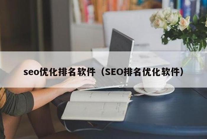 seo的排名优化 seo排名优化软件有用吗