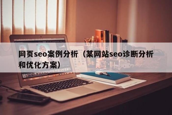 SEO案例分析检验，seo经典案例