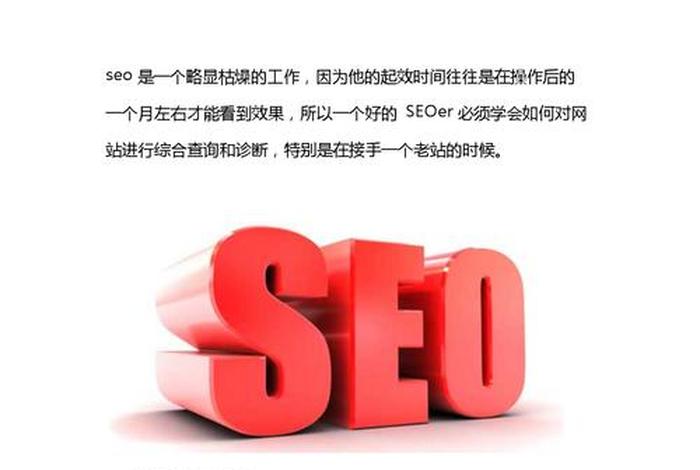 seo案例分析培训讲义 - seo案例视频教程