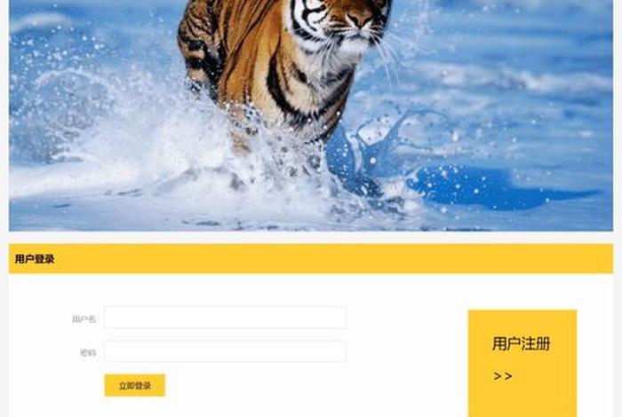 dw网页设计模板网站，web期末作业设计网页主题