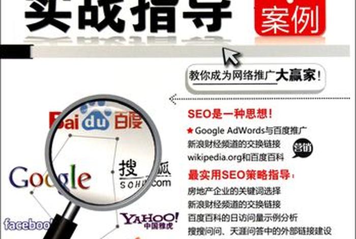 seo成功案例分析，seo成功的案例和分析