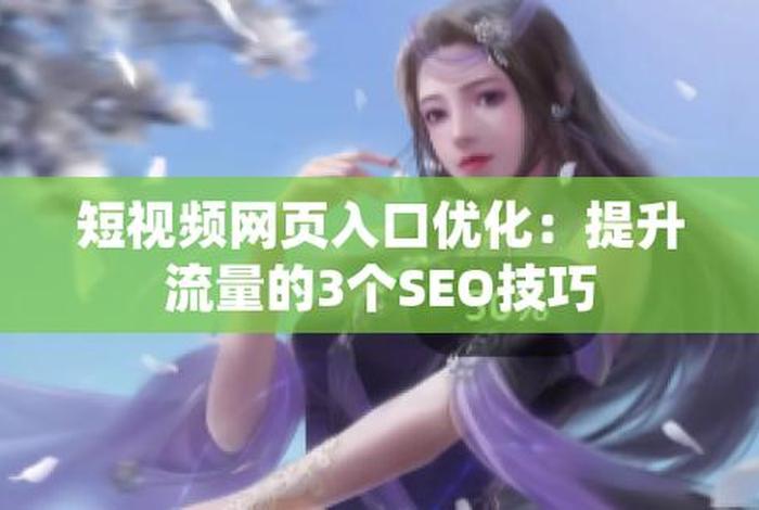 seo短视频网页入口引流网址；网站免费进入窗口软件有哪些