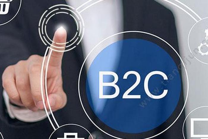 b2c 是什么意思（美团b2c是什么意思）