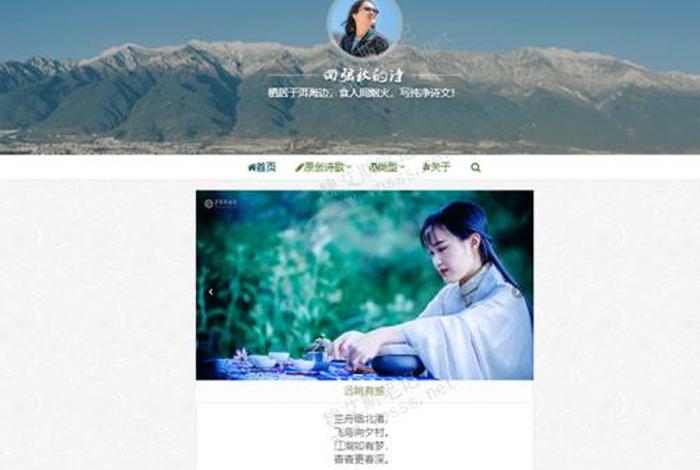 wordpress个人博客主题 - wordpress入口