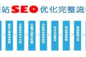 seo分析引流软件（seo分析引流软件哪个好）