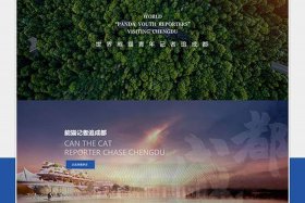 SEO成都（seo成都怎么做？）