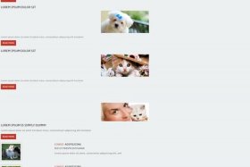 html制作的网页、网页制作代码