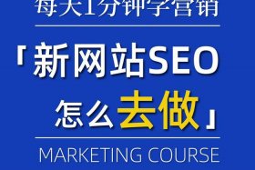 seo做网站，seo网站