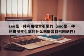 seo公司是什么 seo是指什么岗位