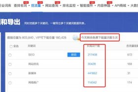 seo综合查询是什么，seo网站浏览量