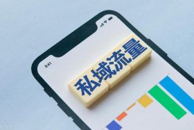 seo免费优化网站、seo短视频网页入口引流