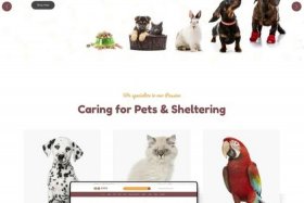 shopify 独立站 独立站怎么搭建