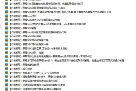 seo的软件 seo软件视频教程