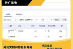 seo推广软件怎样、网络推广seo怎么做