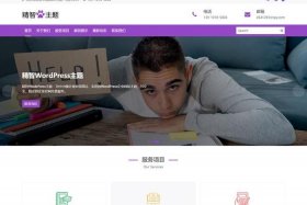 wordpress大学官网 wordpress可以做论坛吗