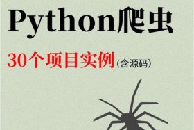java下一页，爬虫python入门